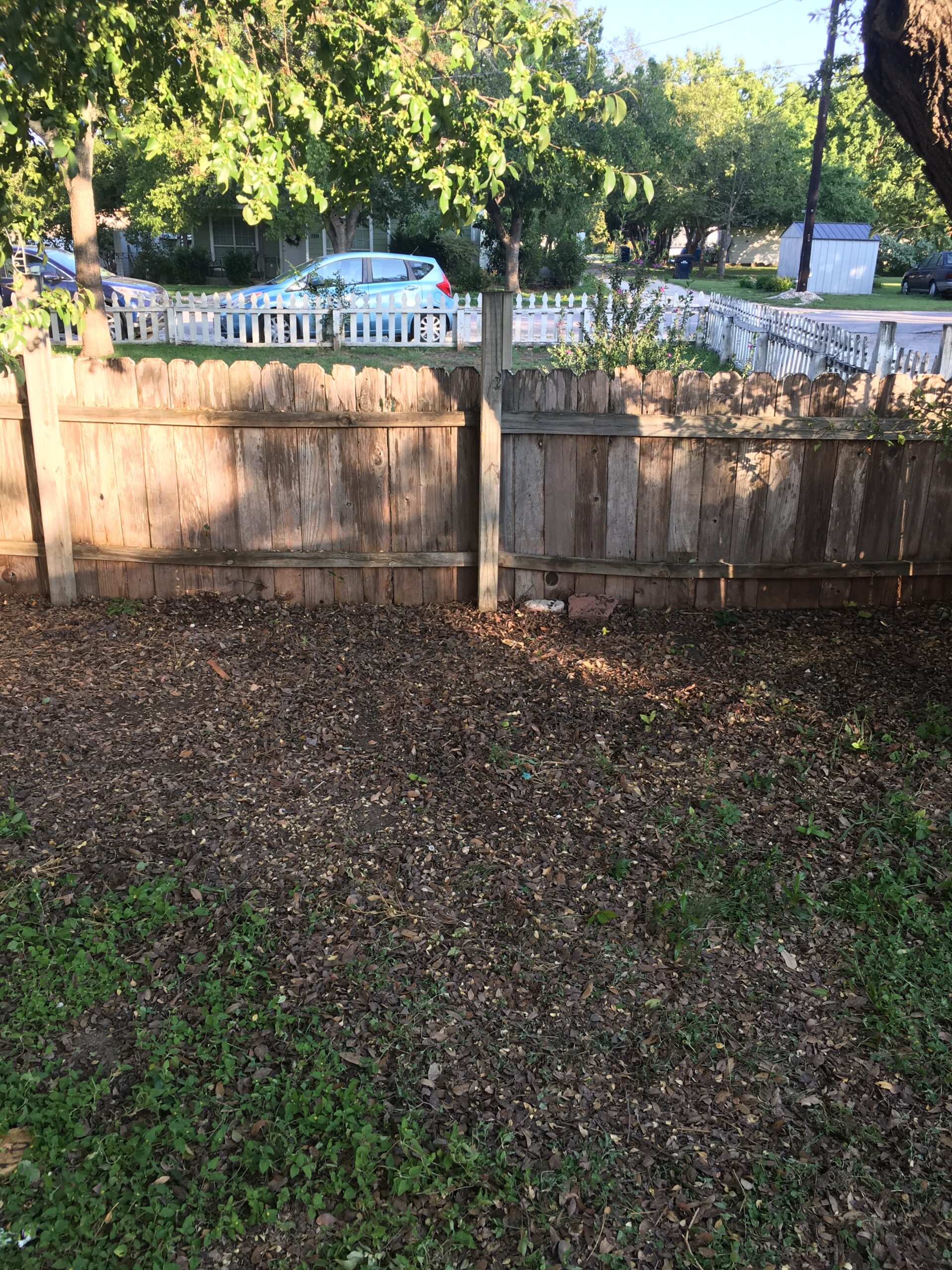 Cleanup project